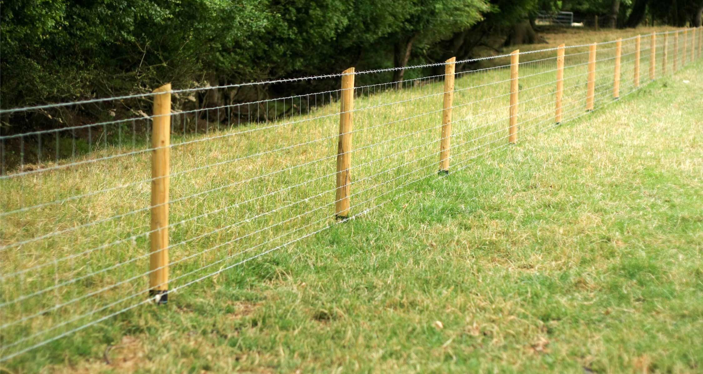 Run Of Wooden Fence Posts In A Field