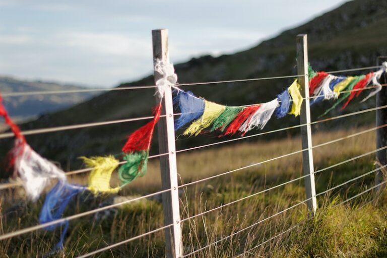 Field & Paddock Fencing - Everything You Need to Know - Postsaver