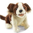 luckydog1959