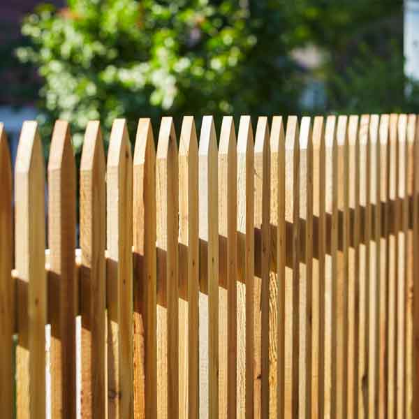 New garden fence