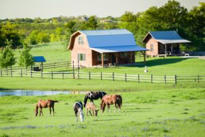 Small Paddock Equestrian & Horse Fencing - The Complete Guide – Postsaver