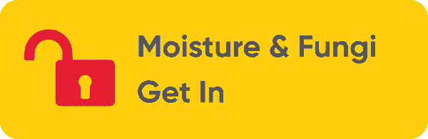 Unprotected Posts Allow Moisture & Fungi In
