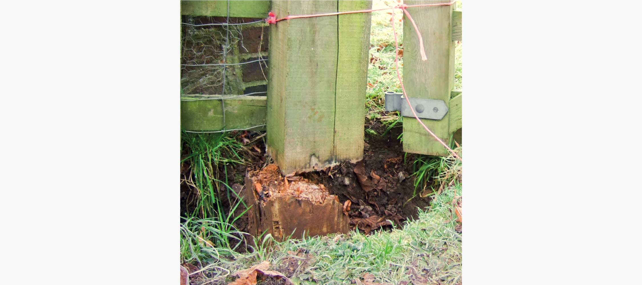 Why Do Wooden Fence Posts Rot Through At Ground Level & Fail? (1 of 2