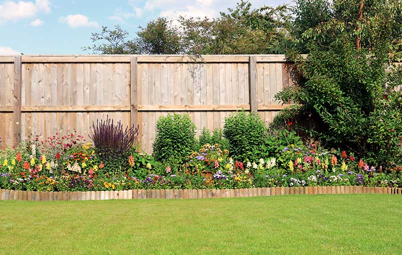 Garden with Fence & Flowers