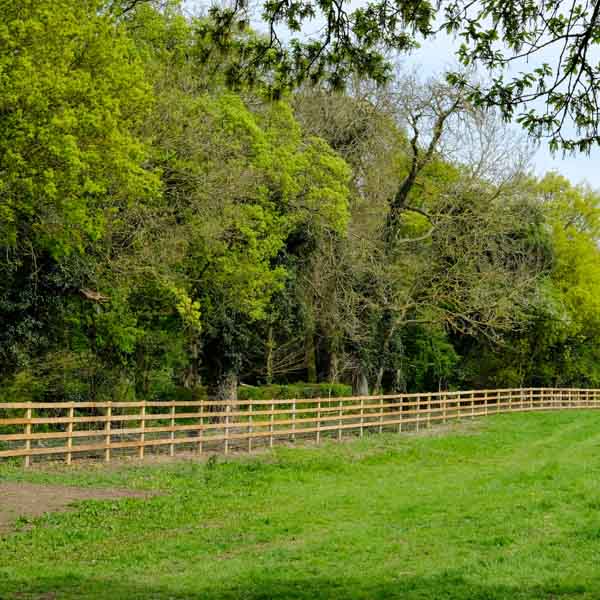 New field fence 