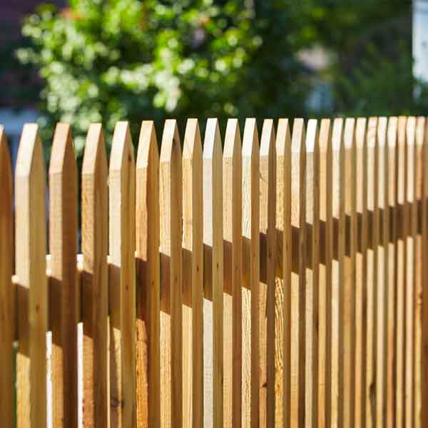 New garden fence