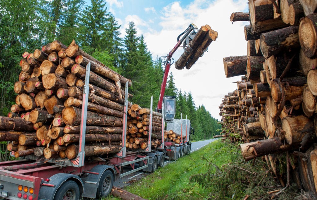 Tree harvesting