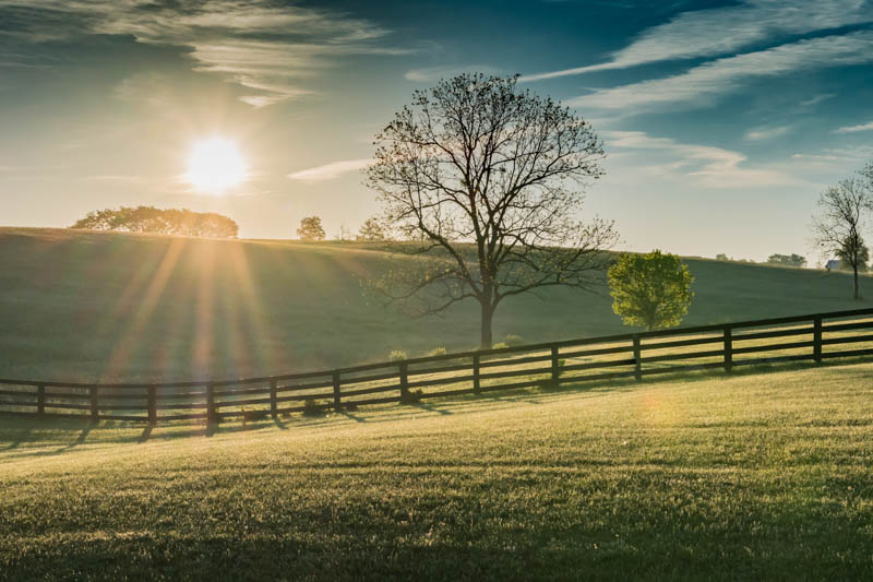 Sun shining over winter fields